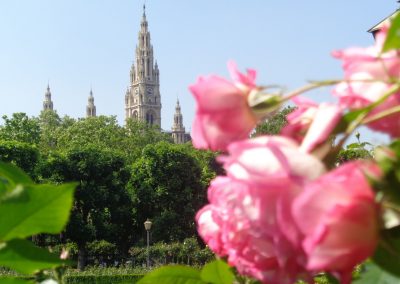 Volksgarten und Rathaus