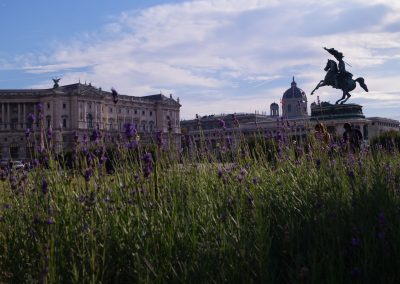 Imperial Palace and Heroes' Square (Heldenplatz)